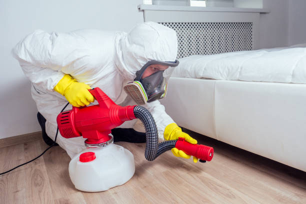 Professional Pest Control in Owasso, OK